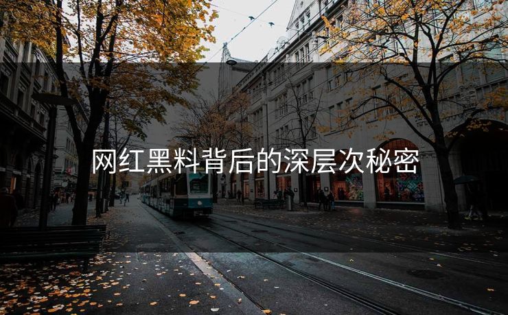 网红黑料背后的深层次秘密  第1张