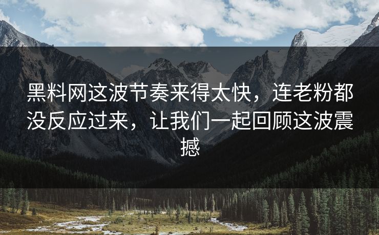 黑料网这波节奏来得太快，连老粉都没反应过来，让我们一起回顾这波震撼