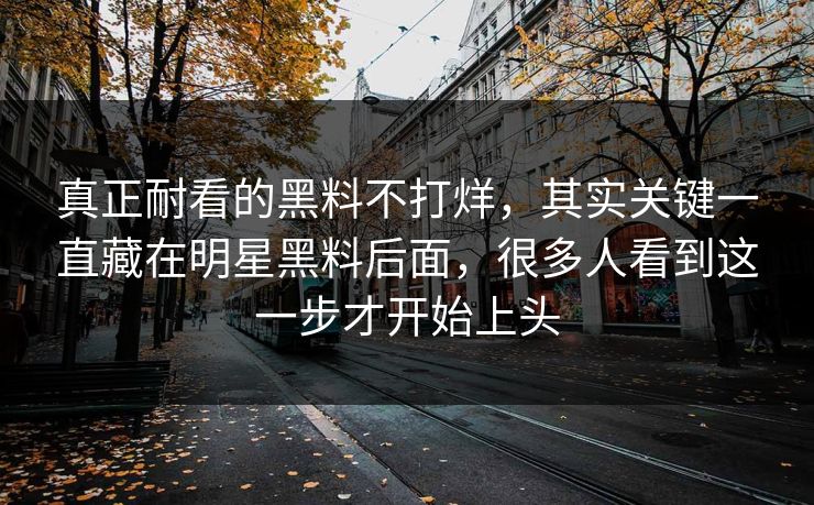 真正耐看的黑料不打烊，其实关键一直藏在明星黑料后面，很多人看到这一步才开始上头