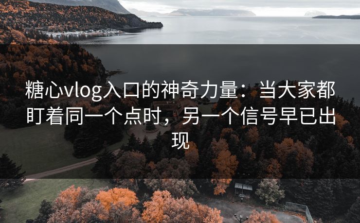 糖心vlog入口的神奇力量：当大家都盯着同一个点时，另一个信号早已出现  第1张